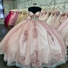 Pink Quinceanera Dresses Ball Gown 3DFloral Applique TulleBirthday Party Sweet16