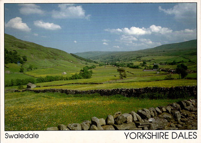 Postcard The Yorkshire Dales ~ Swaledale England