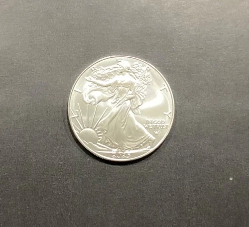 2025 WALKING LIBERTY .999 1 OZ. U.S. SILVER EAGLE COIN $1 Uncirculated B