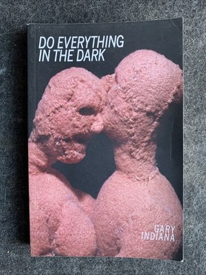 Do Everything in the Dark by Gary Indiana (2015, Trade Paperback) : Unread, VGC