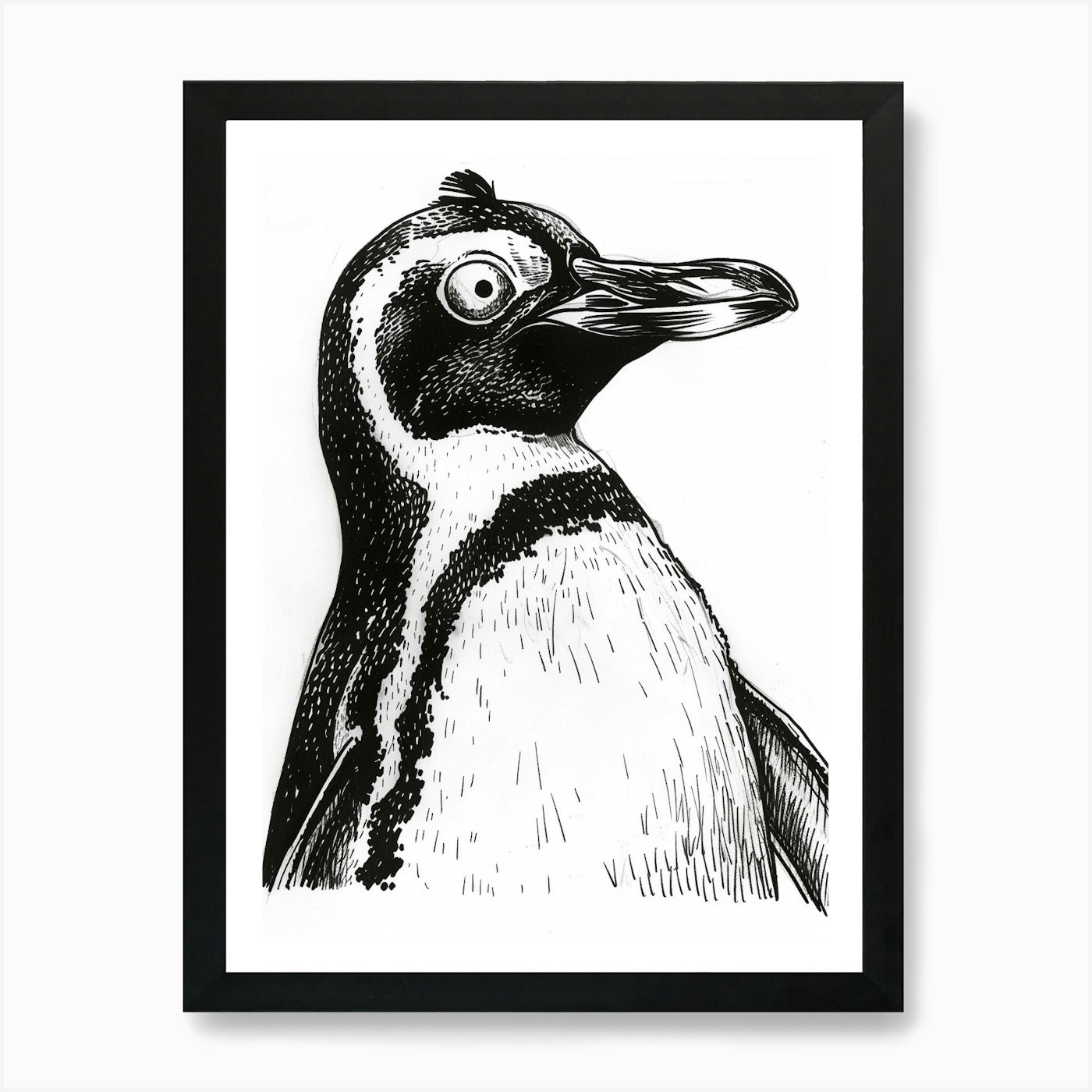 King Penguin Staring Curiously 1 Ar Framed Wall Art Poster Canvas Print