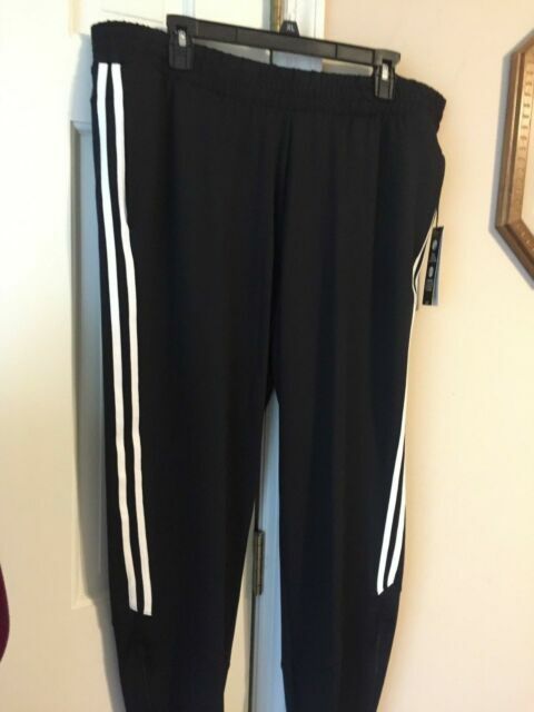 xl track pant size