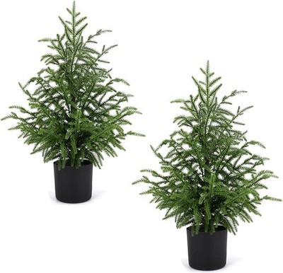 2FT Artificial Norfolk Pine Christmas Tree   Tabletop Faux Tree Unlit/Prelit