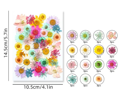 Dried Pressed Flowers Natural Epoxy Resin Candle Nail Art Scrapbooking Craft AU - Picture 44 of 210