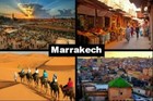 Marrakech Morocco Fridge Magnet