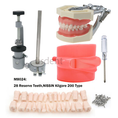 Fit 200/500 Type Kilgore NISSINDental Typodont Teeth Model With Removable Teeth