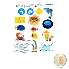 Buch Ocean Revised Edition Discovery Bilderbuch für 3-6 Jährige