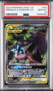 Greninja and Zoroark GX Psa 10 | eBay