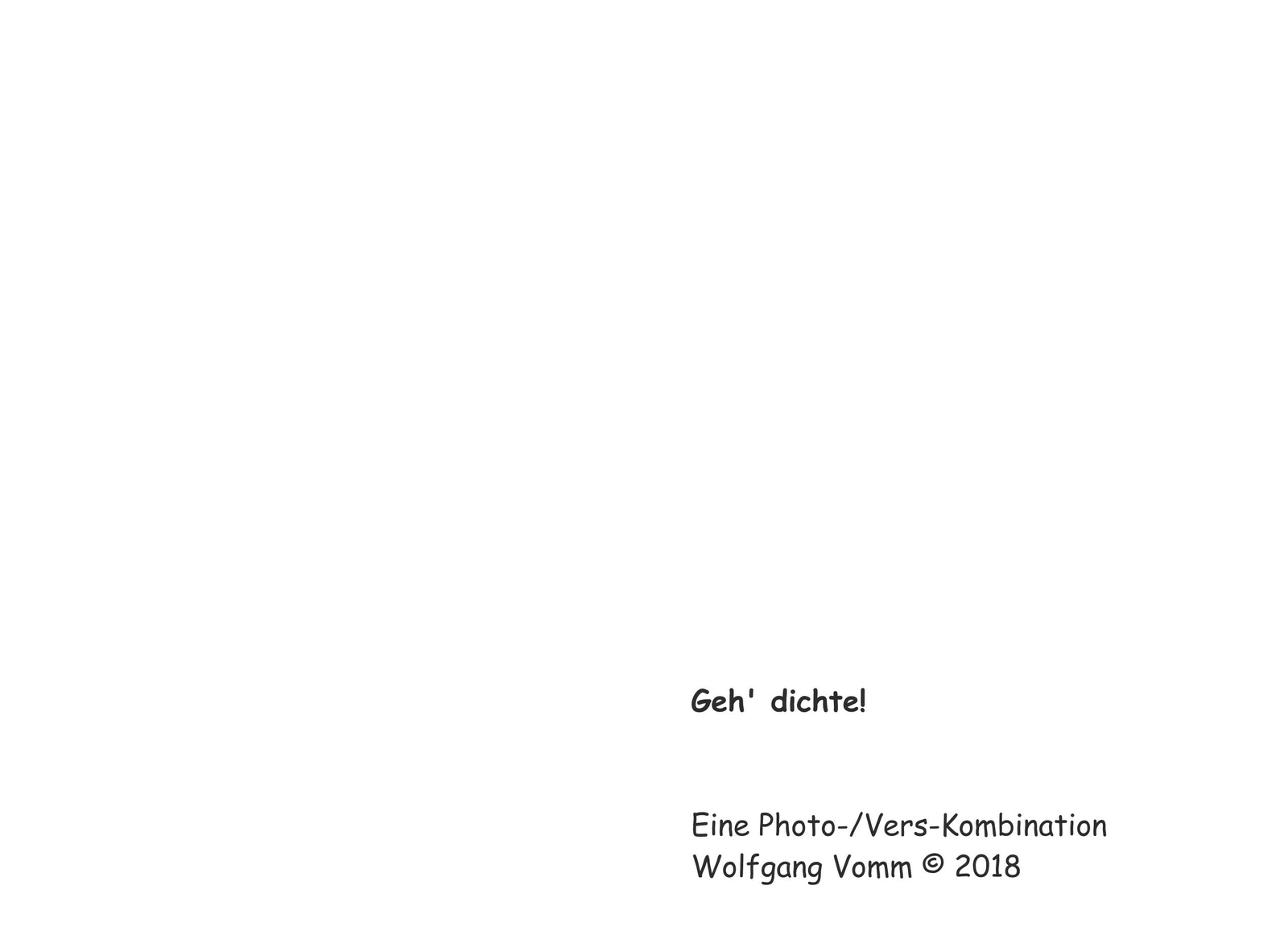 Geh' Dichte | Buch | 9783748109976