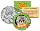 Exotic Cat Jfk Kennedy Half Dollar Us Colorized Coin