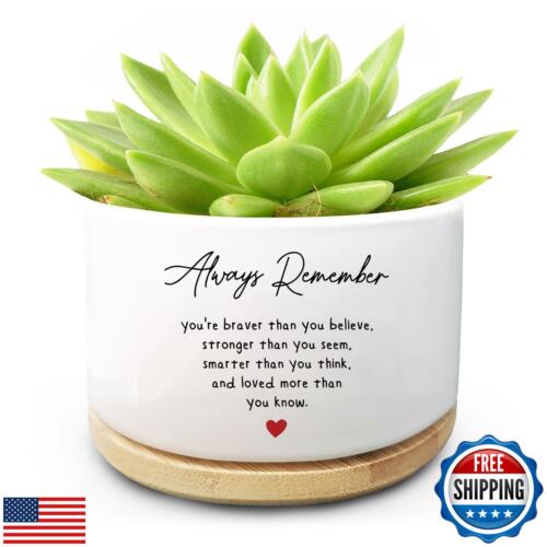 Inspirational Ceramic Planter Pot Succulent Cactus Planter Pot Decor Flower P