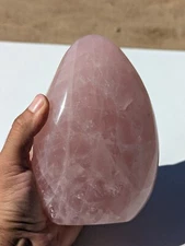 ENORMOUS Hand Polished Brazilian Rose Quartz Freeform 1830+ Grams 6" Tall Beauty