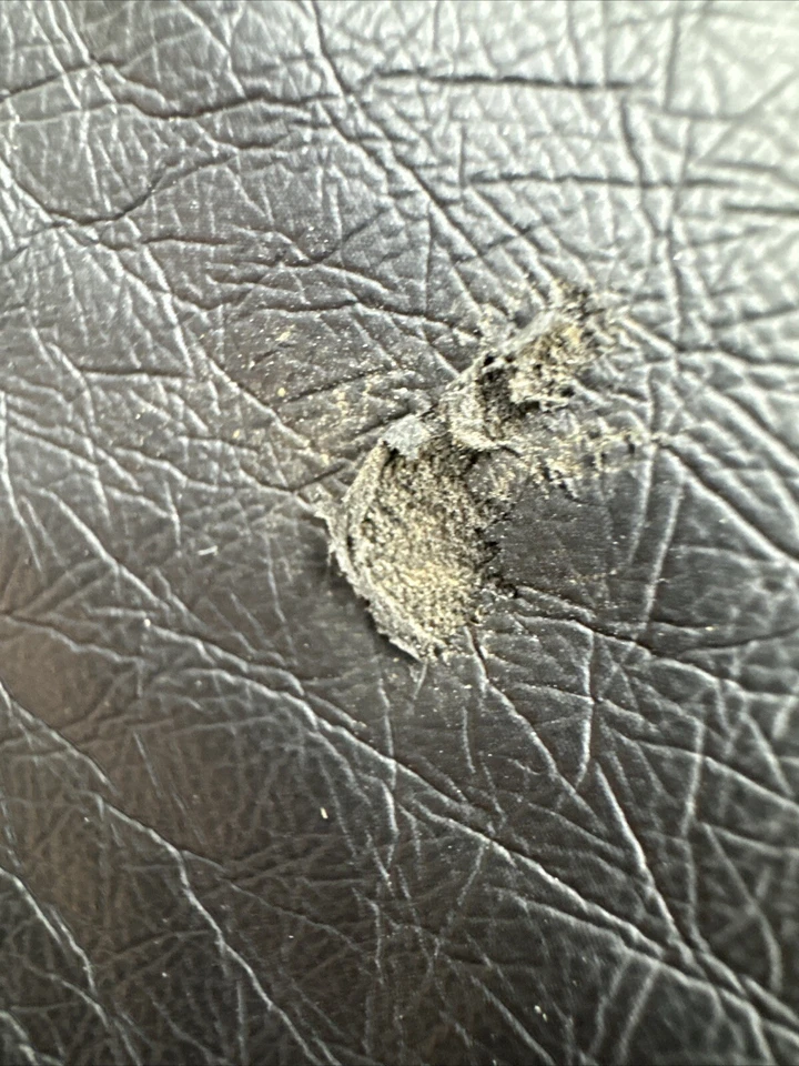 Chaleco vegano de imitación de cuero Wet Seal para mujer grande negro cremallera completa flecos sin mangas Foto 4 de 4