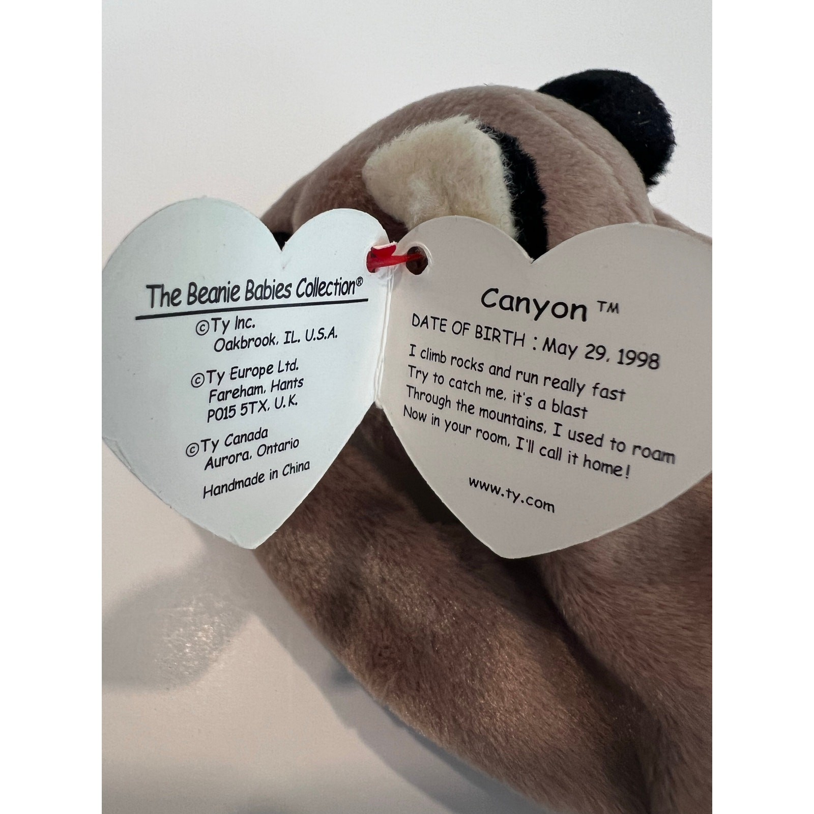 Ty Beanie Baby 1998 Canyon the Cougar P.E. Pellets Retired JL thumbnail 7