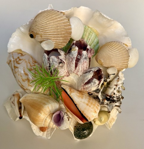 Vintage Seashell Souvenir Sculpture Ocean Beach Hawaii - 5-1/2" Base x 5" Height