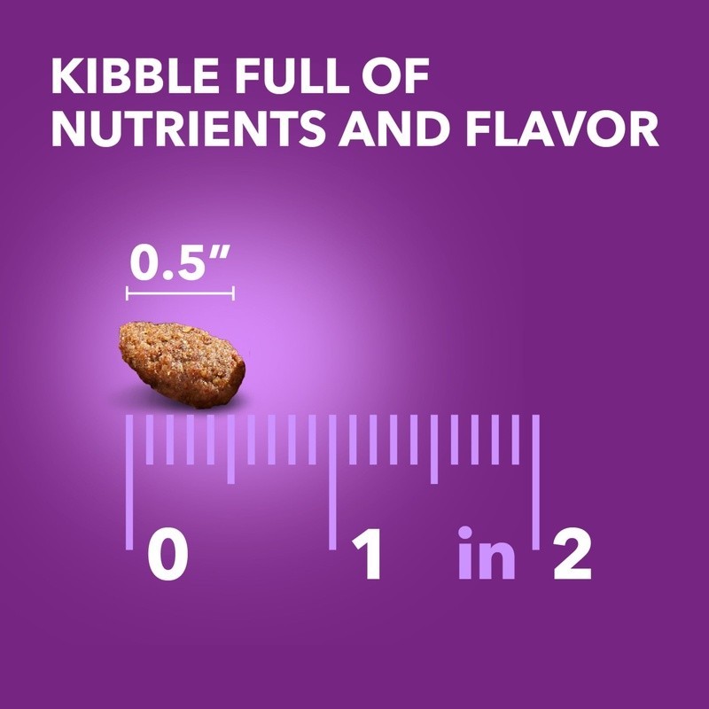 Chicken Whole Grain Dry Dog Food Mobility Support Joints Probiotics 13.5lb New