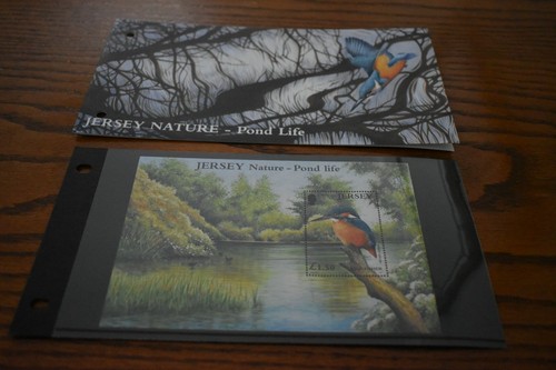 Jersey Presentation Packs, 2000, 2001 and 2002, Sold Individually, MNH, Mint - Picture 23 of 45