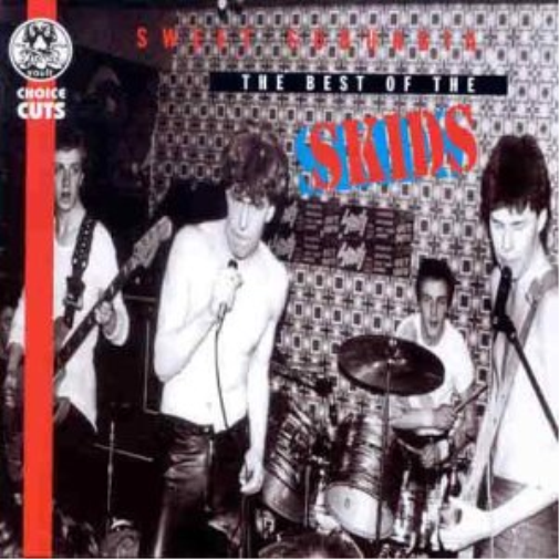 Skids Sweet Suburbia - The Best Of The Skids (CD)