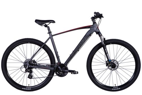 Mountainbike Hardtail MTB 29" Aluminium Scheibenbremsen Grau RH 53 cm Fahrrad - Bild 2 von 3