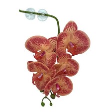 Pangea Hanging Orchids Orange  Yellow Reptile Snake Crested Gecko Lizard