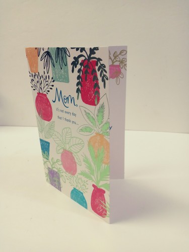 Mothers Day Greeting Card Potted Plants American Greetings Blue w/ Envelope - Picture 5 of 5