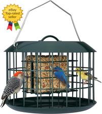 Squirrel Proof Suet Bird Feeder All Metal Hanging Outdoor Double Cake Cage Green