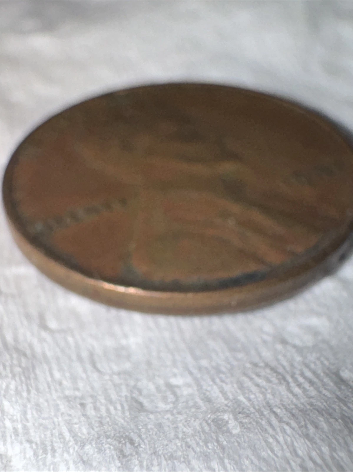 Picture 5 of 5