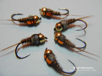 6 Pheasant Tail Flashback Tungsten Bead Head Trout Fly Fishing nymphs size 14//16