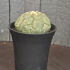 Foto 3 di 24