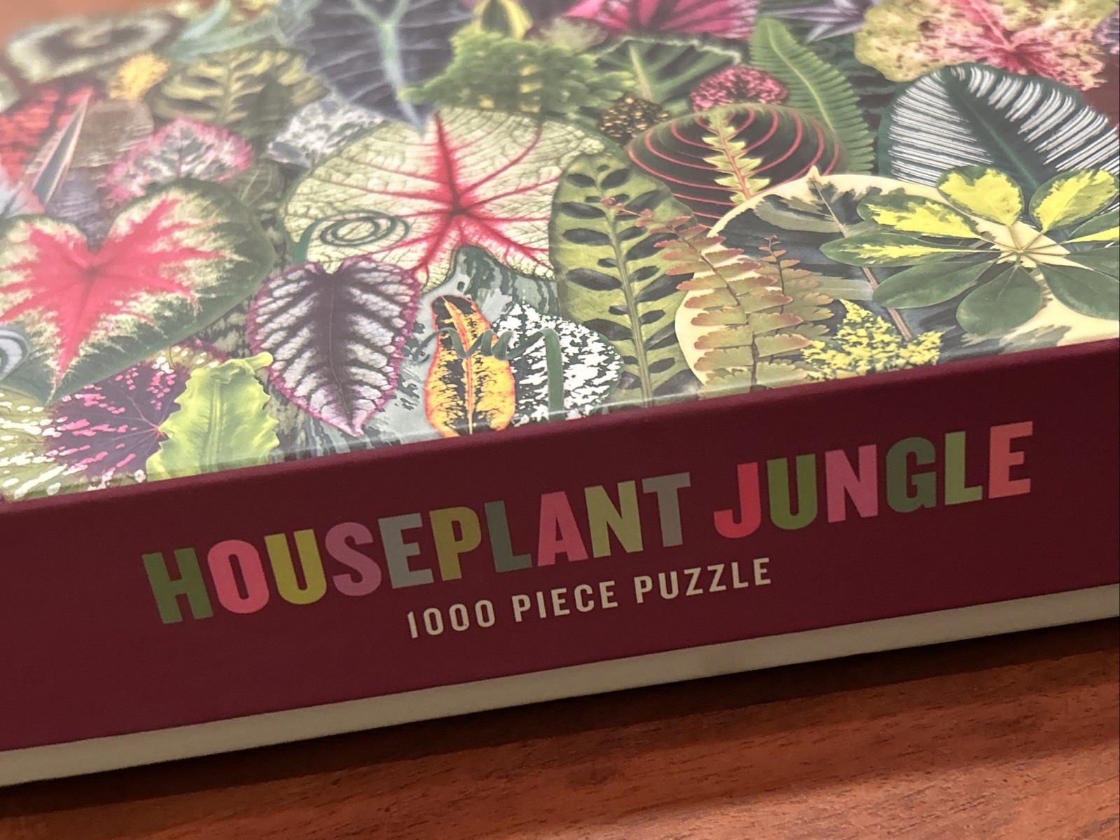 NEW Houseplant Jungle 1000 Piece Puzzle - Galison 2019