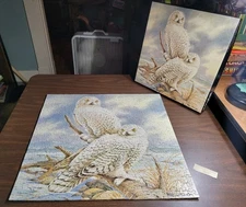 Springbok Jigsaw Puzzle Arctic Vigil Owls 500 Piece Complete 0001 Inspection 