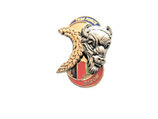 RARE ANCIEN PINS INFANTERIE 126° RI OPEX PAMIR TASK FORCE AFGHANISTAN FAB. Y.B