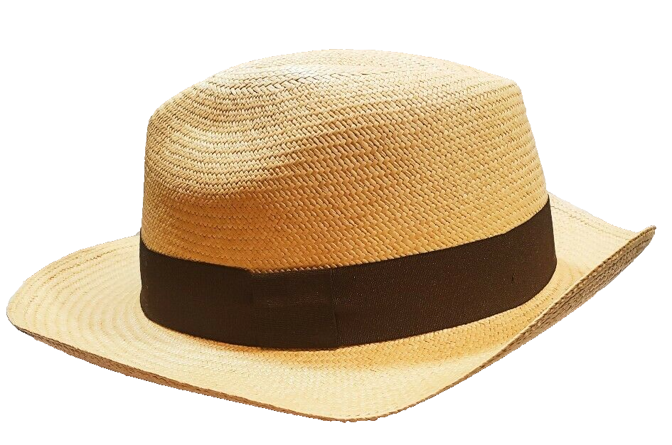 NWOT Classic Beige Panama hat Unisex Wide Brim Size XL | eBay display picture 2