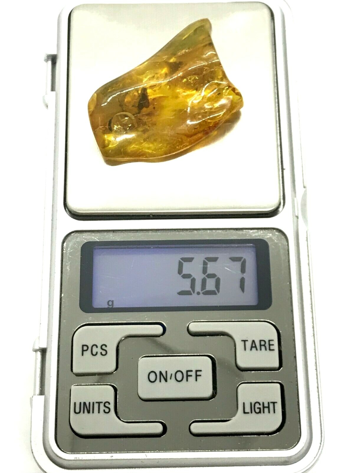 Picture 12 of 12