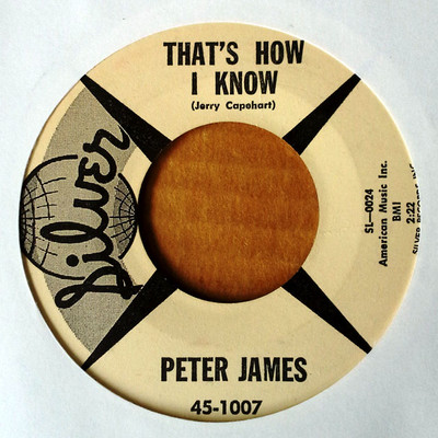 PETER JAMES - THAT'S HOW I KNOW b/w THINK I'LL BREAK DOWN & CRY - SILVER 45 