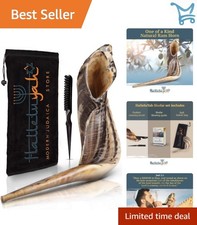 Kosher Ram Horn Shofar 16-18 Inch Natural Odorless Religious Event