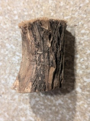 Little Tree Stump Friends. From Woodlands In Cabot. Vermont Harvested By Hand.