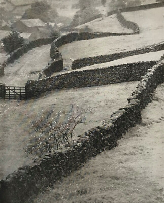 Auffällige Studie der Lake District Landschaft 1916 von Ward Muir 1878-1927