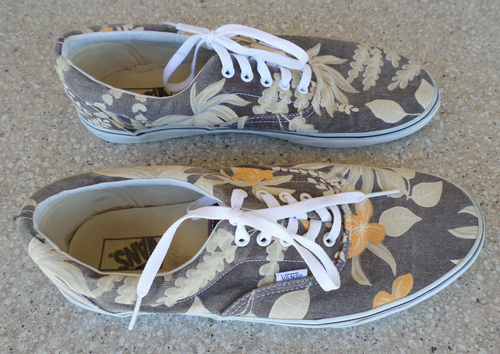 van canvas shoes