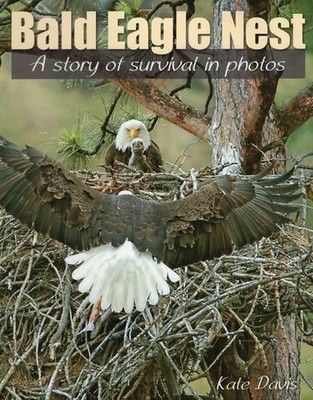 Weißkopfseeadlernest: Eine Geschichte des Überlebens in Fotos von Kate Davis (englisch) Taschenbuch