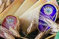 4 Kg - Grananglona (Spicchio), Formaggio a Pasta Cruda, Prodotto Con Latte Di Pe