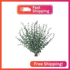 CEWOR 24pcs Eucalyptus Stems Artificial Eucalyptus Leaves Fake Greenery Branches