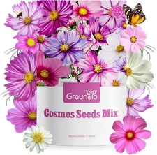 Cosmos Seeds Wildflower Mix 1 Oz, Over 3,000+, 4 Varieties Colorful Flowers 