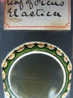 Antique microscope slide. Henry Murphy. (James Neville) Leaf of Ficas elastica.