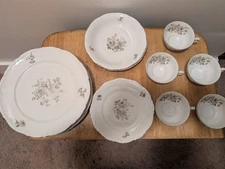 Mitterteich Bavaria Mystic Rose German China