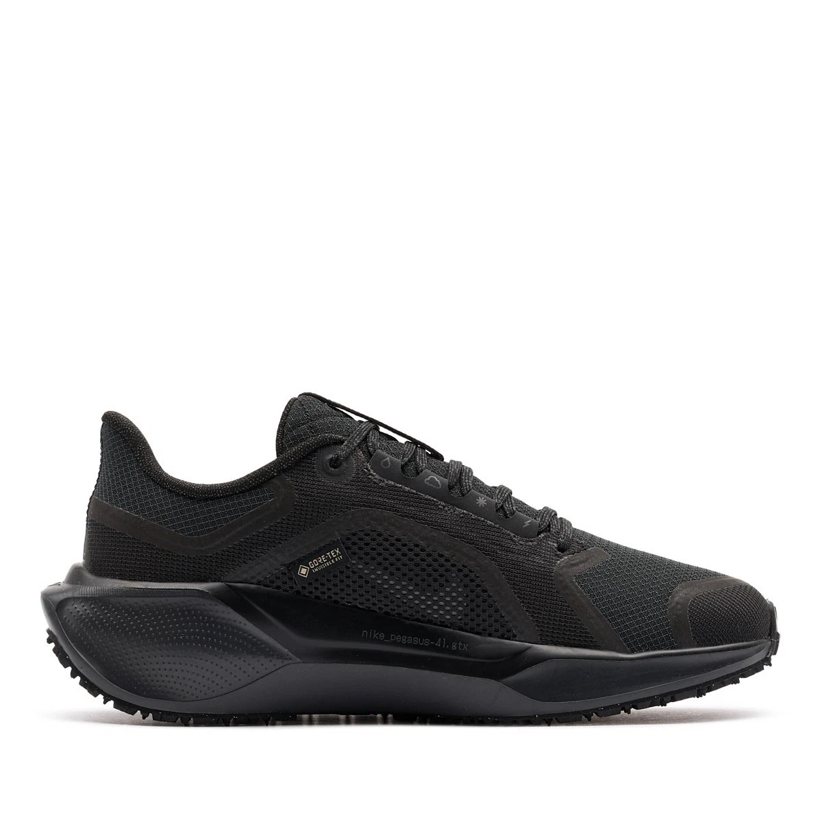 Nike Air Zoom Pegasus 41 GORE-TEX 'Black Anthracite' FQ1356 001