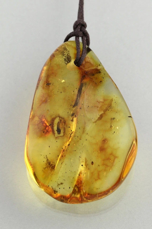 5 Inclusiones de Insectos Fósiles Genuino ÁMBAR BÁLTICO Cuerda Colgante 10.5g 210922-4 Foto 2 de 4