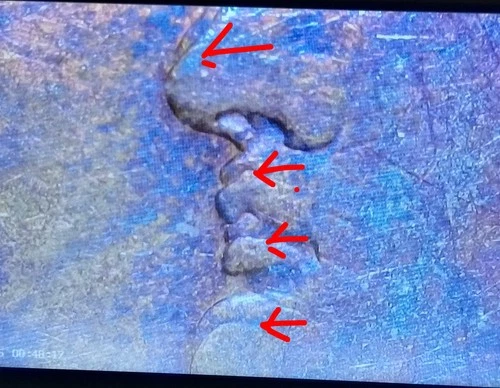 XF 1888 O Morgan Dollar  TOP 100 VAM4 HOTLIPS/DDR-STARS toned