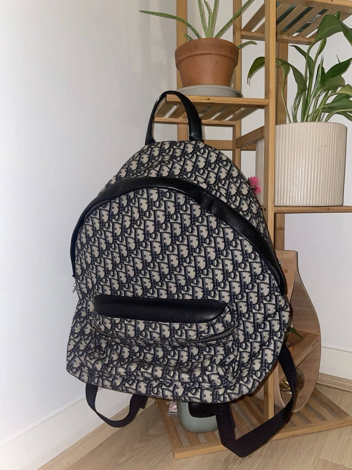 Authentic Christian Dior Medium Rider Backpack in Oblique Canvas 2019 Model Year