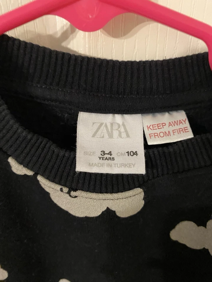 Sudadera Zara Puppy Boys talla 3-4 Foto 3 de 3